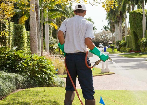 About Jupiter FL Pest Control